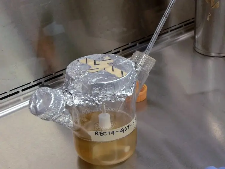 GST-His purification: A Two-step Affinity Purification Protocol Yielding Full-length Purified Proteins