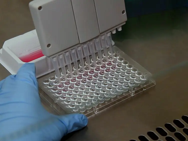Development, Expansion, and <em>In vivo</em> Monitoring of Human NK Cells from Human Embryonic Stem Cells (hESCs) and Induced Pluripotent Stem Cells (iPSCs)