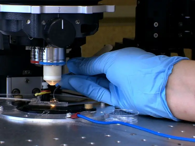 Whole Cell Patch Clamp for Investigating the Mechanisms of Infrared Neural Stimulation