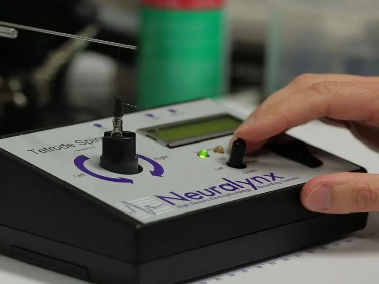 Construction of Microdrive Arrays for Chronic Neural Recordings in Awake Behaving Mice