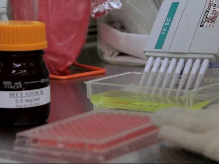 Determination of Tolerable Fatty Acids and Cholera Toxin Concentrations Using Human Intestinal Epithelial Cells and BALB/c Mouse Macrophages