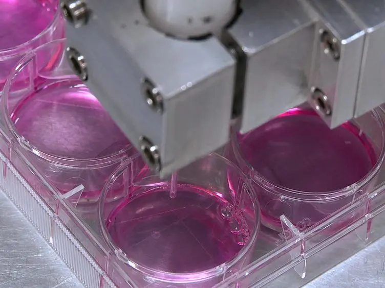 Permeabilization of Adhered Cells Using an Inert Gas Jet