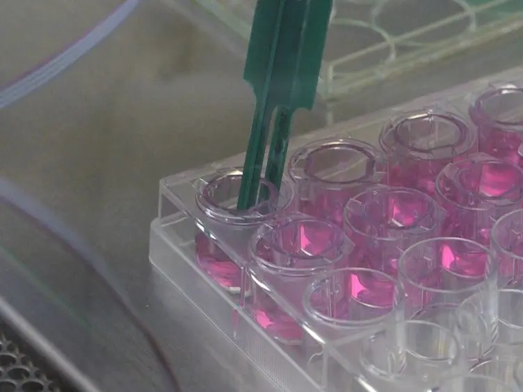 Models and Methods to Evaluate Transport of Drug Delivery Systems Across Cellular Barriers