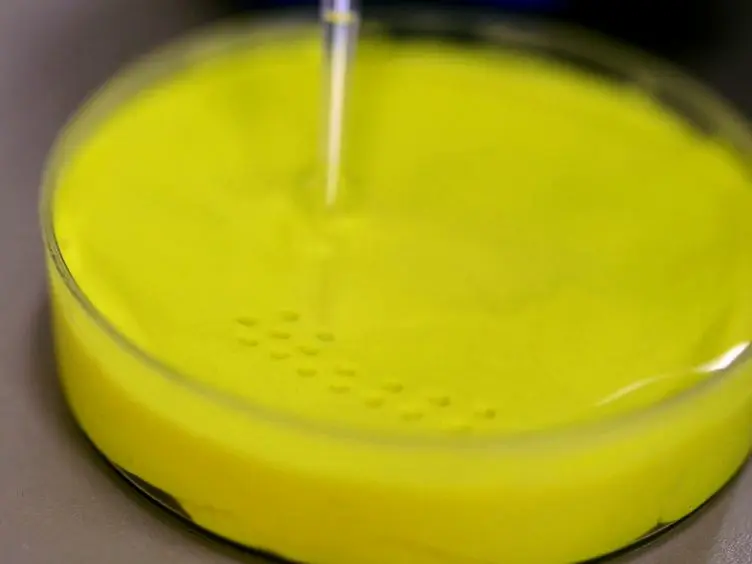 Facial Transplants in <em>Xenopus laevis</em> Embryos