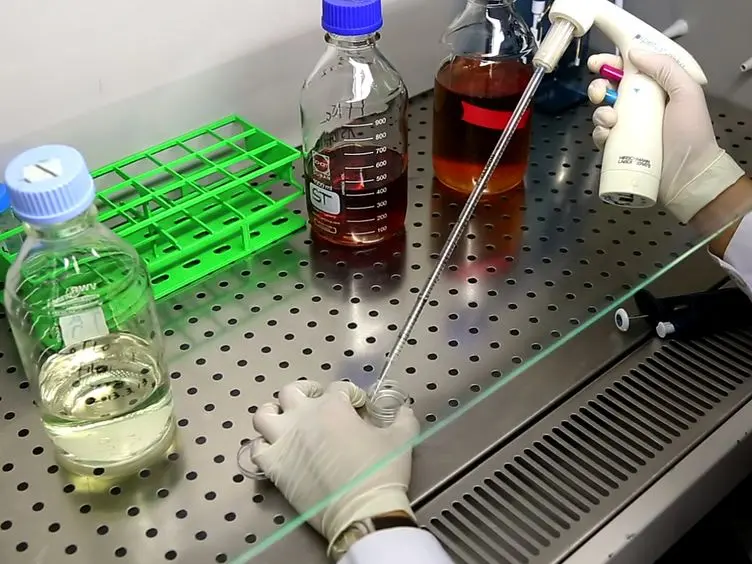 Detecting, Visualizing and Quantitating the Generation of Reactive Oxygen Species in an Amoeba Model System