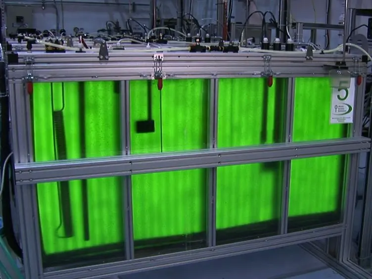 Optimize Flue Gas Settings to Promote Microalgae Growth in Photobioreactors via Computer Simulations