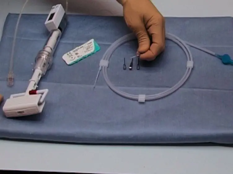 A New Murine Model of Endovascular Aortic Aneurysm Repair