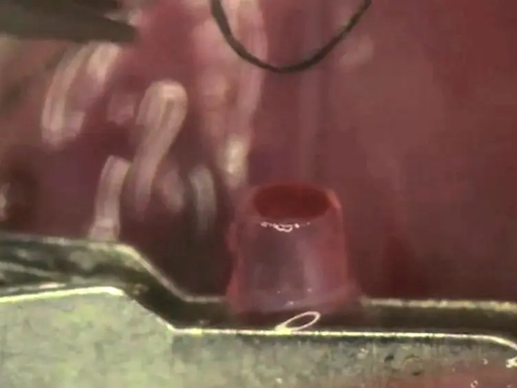 Murine Cervical Heart Transplantation Model Using a Modified Cuff Technique