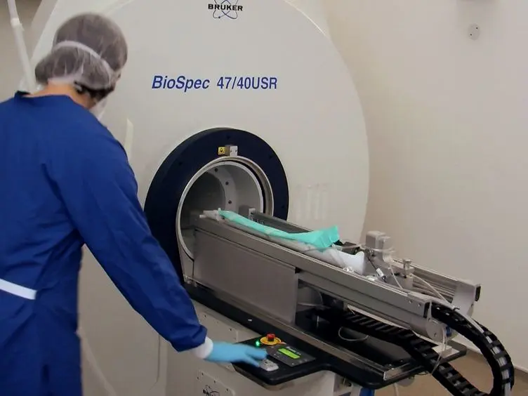 MRI and PET in Mouse Models of Myocardial Infarction