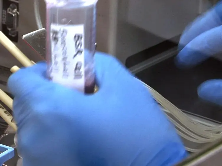 Assays for the Identification of Novel Antivirals against Bluetongue Virus