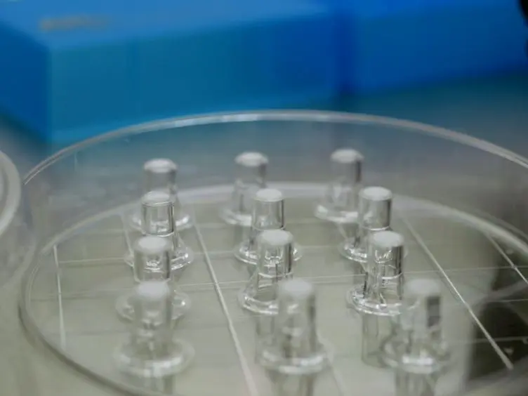 <em>In vitro</em> Coculture Assay to Assess Pathogen Induced Neutrophil Trans-epithelial Migration