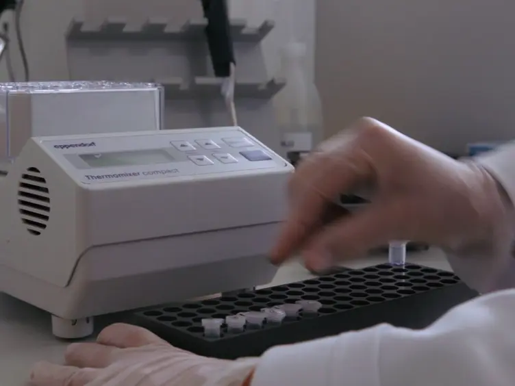 FtsZ Polymerization Assays: Simple Protocols and Considerations
