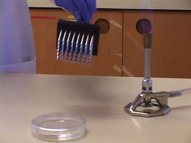 Establishing the Minimal Bactericidal Concentration of an Antimicrobial Agent for Planktonic Cells (MBC-P) and Biofilm Cells (MBC-B)