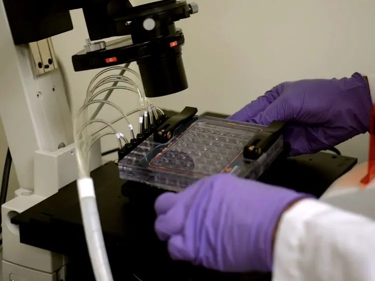 Systematic Analysis of <em>In Vitro</em> Cell Rolling Using a Multi-well Plate Microfluidic System