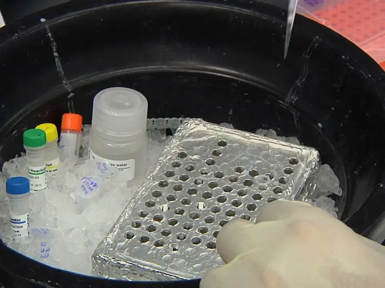 Cerebrospinal Fluid MicroRNA Profiling Using Quantitative Real Time PCR