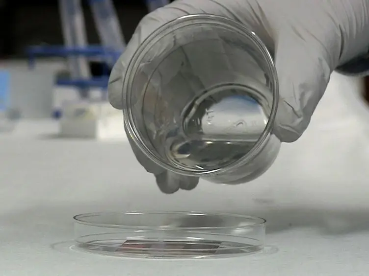 ECM Protein Nanofibers and Nanostructures Engineered Using Surface-initiated Assembly