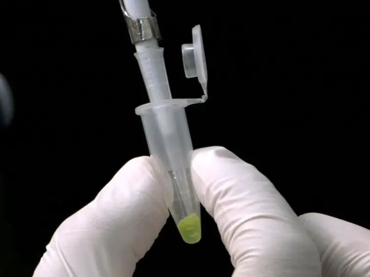 Synthesis of an Intein-mediated Artificial Protein Hydrogel
