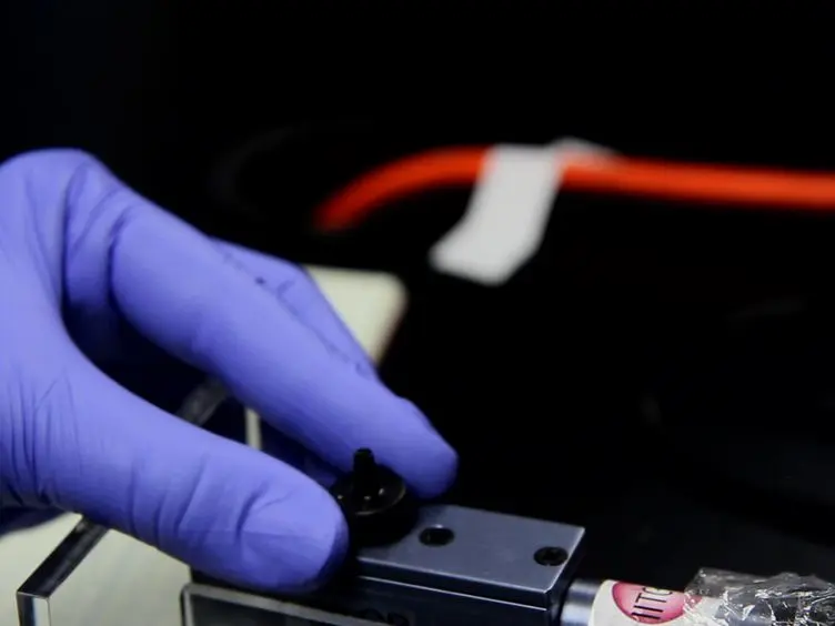 Measuring Changes in Tactile Sensitivity in the Hind Paw of Mice Using an Electronic von Frey Apparatus