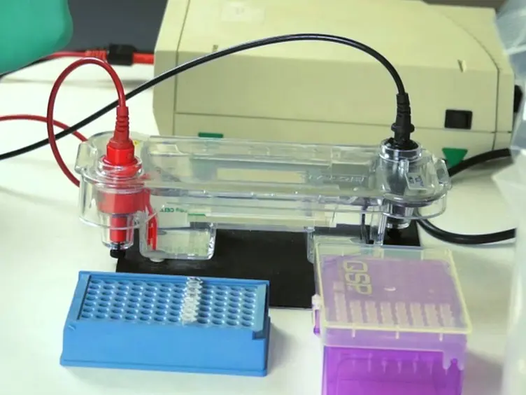 An Affordable HIV-1 Drug Resistance Monitoring Method for Resource Limited Settings