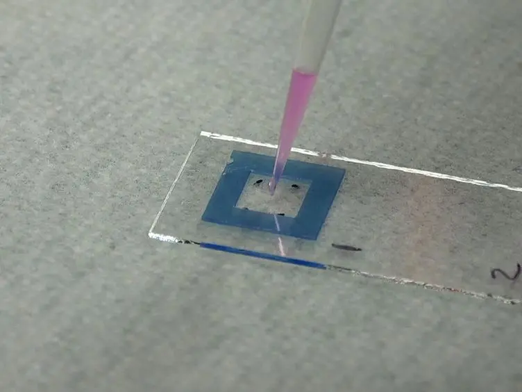 Demonstrating a Multi-drug Resistant <em>Mycobacterium tuberculosis</em> Amplification Microarray