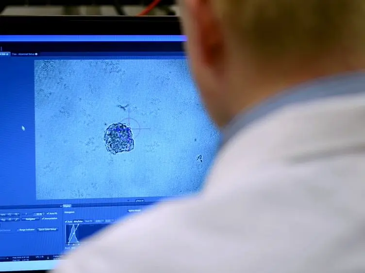 Longitudinal Measurement of Extracellular Matrix Rigidity in 3D Tumor Models Using Particle-tracking Microrheology