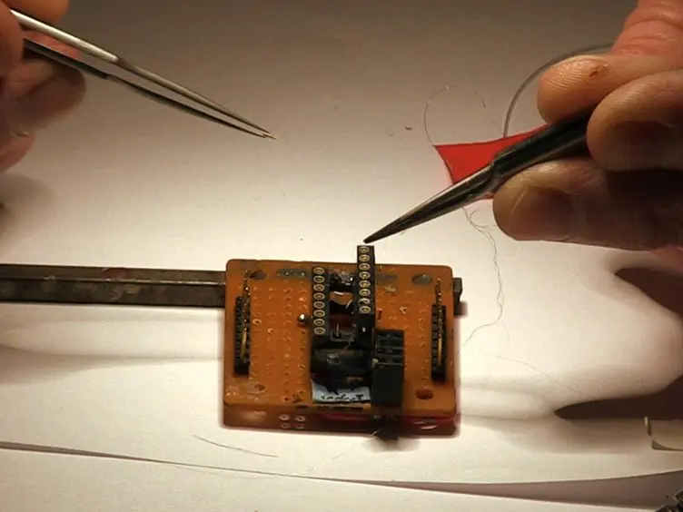 Extracellular Wire Tetrode Recording in Brain of Freely Walking Insects