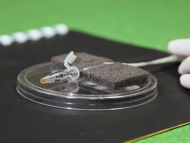 Laser Nanosurgery of Cerebellar Axons <em>In Vivo</em>