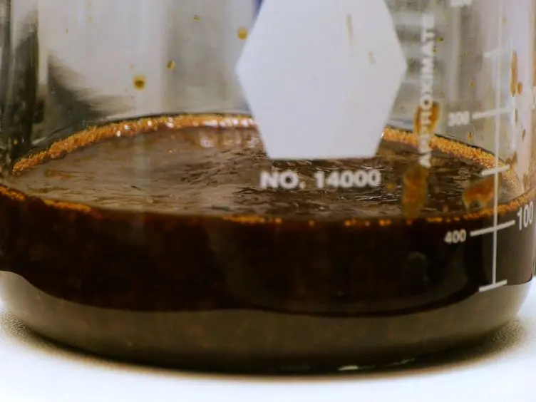 Methods for Facilitating Microbial Growth on Pulp Mill Waste Streams and Characterization of the Biodegradation Potential of Cultured Microbes