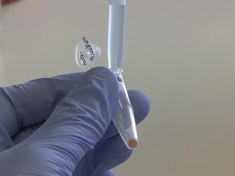 Capture Compound Mass Spectrometry - A Powerful Tool to Identify Novel c-di-GMP Effector Proteins