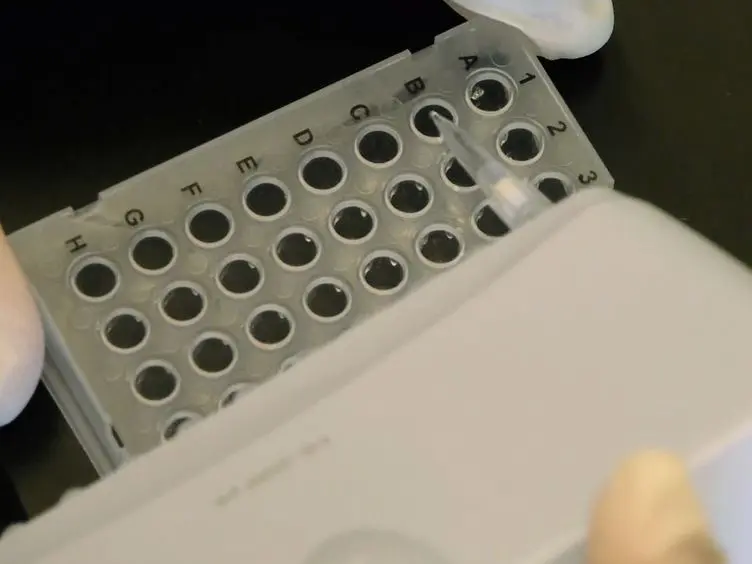 Profiling Individual Human Embryonic Stem Cells by Quantitative RT-PCR