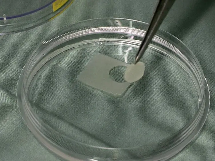 A Full Skin Defect Model to Evaluate Vascularization of Biomaterials <em>In Vivo</em>