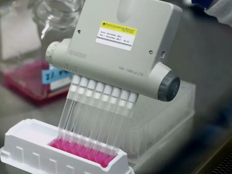 Vaccinia Reporter Viruses for Quantifying Viral Function at All Stages of Gene Expression