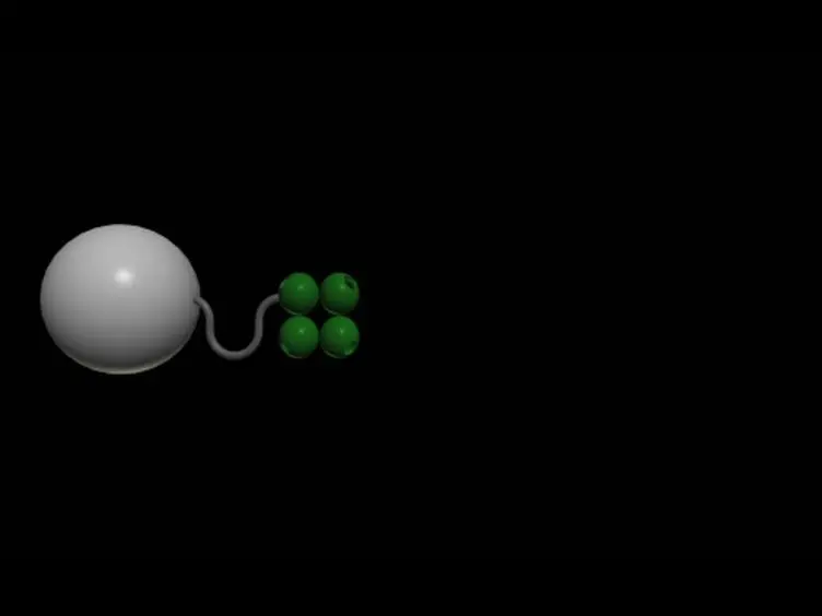 One-step Purification of Twin-Strep-tagged Proteins and Their Complexes on Strep-Tactin Resin Cross-linked With Bis(sulfosuccinimidyl) Suberate (BS3)
