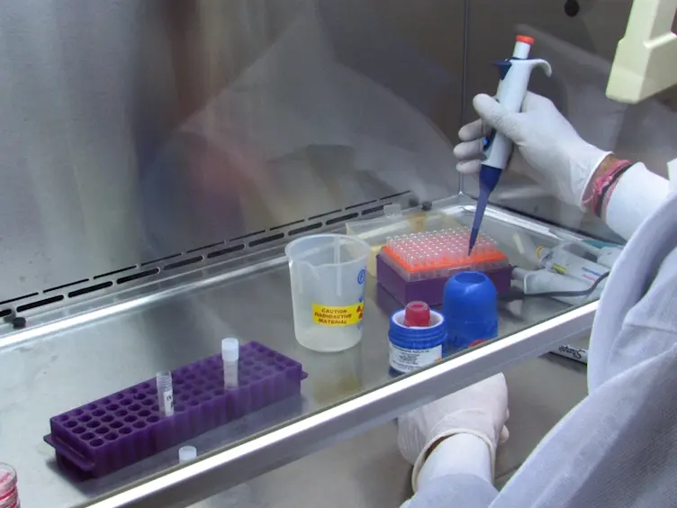 Measurement of Heme Synthesis Levels in Mammalian Cells