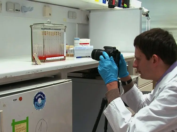 Measurement of Metabolic Rate in <em>Drosophila</em> using Respirometry
