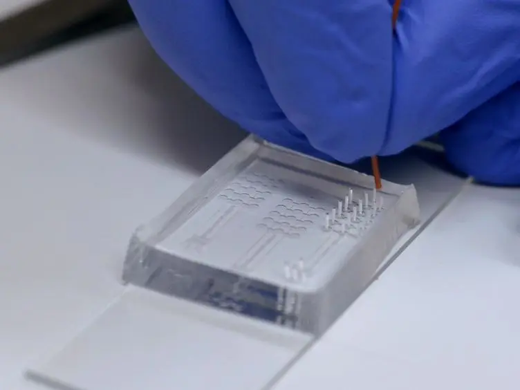 Microscale Vortex-assisted Electroporator for Sequential Molecular Delivery