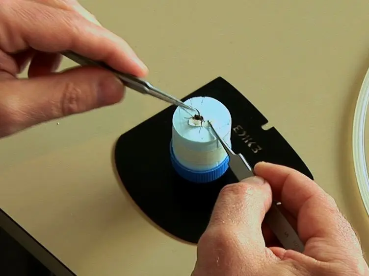 Using Insect Electroantennogram Sensors on Autonomous Robots for Olfactory Searches