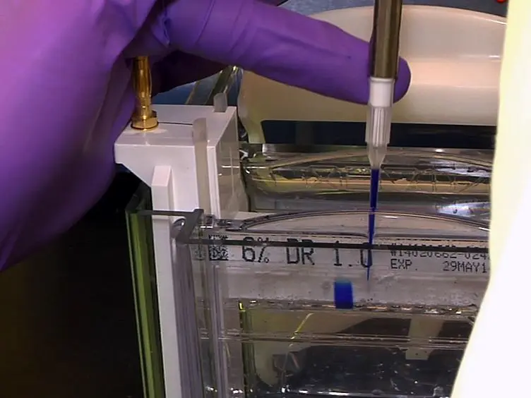 DNA-affinity-purified Chip (DAP-chip) Method to Determine Gene Targets for Bacterial Two component Regulatory Systems