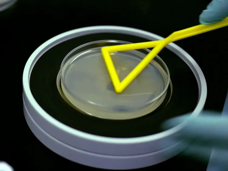 Massively Parallel Reporter Assays in Cultured Mammalian Cells