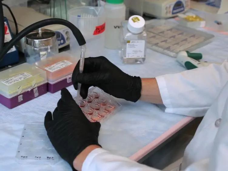 An Immunofluorescent Method for Characterization of Barrett’s Esophagus Cells