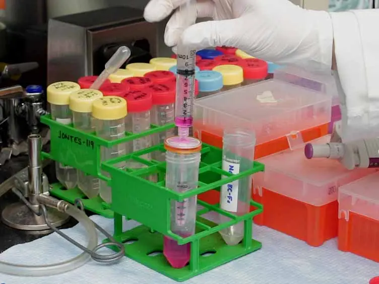 Bead Aggregation Assays for the Characterization of Putative Cell Adhesion Molecules