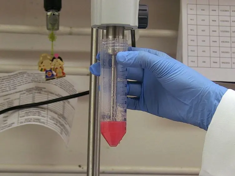 RNA Isolation from Mouse Pancreas: A Ribonuclease-rich Tissue