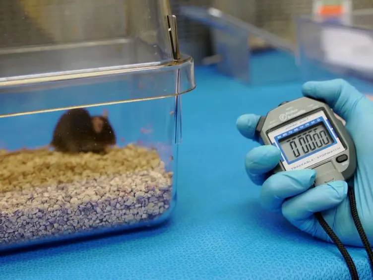 Olfactory Assays for Mouse Models of Neurodegenerative Disease