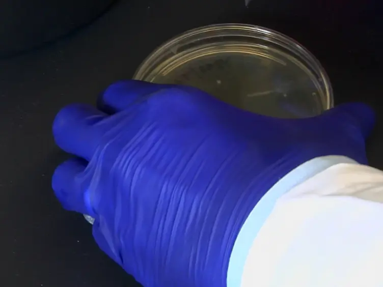 Probing High-density Functional Protein Microarrays to Detect Protein-protein Interactions