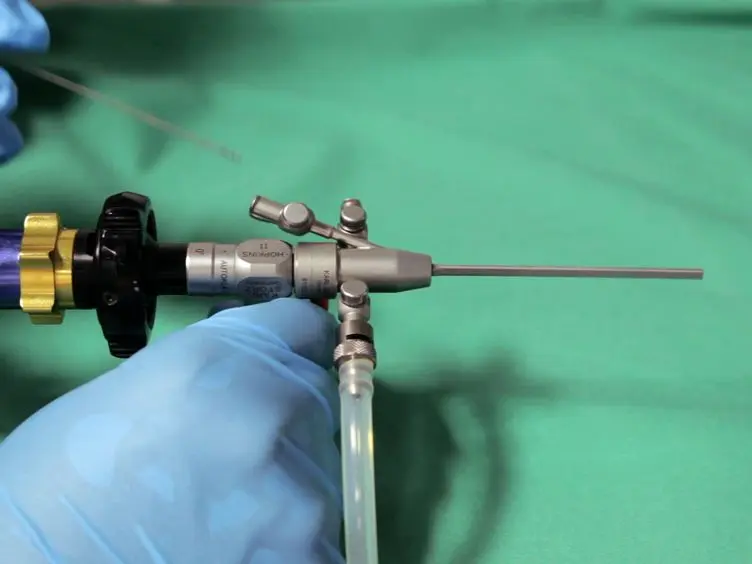 Murine Endoscopy for <em>In Vivo</em> Multimodal Imaging of Carcinogenesis and Assessment of Intestinal Wound Healing and Inflammation
