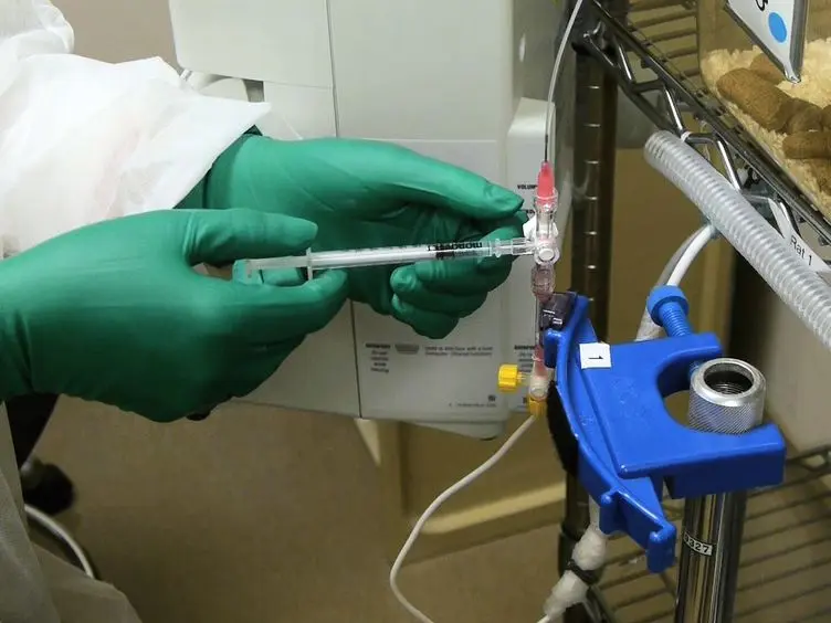 Catheterization of the Carotid Artery and Jugular Vein to Perform Hemodynamic Measures, Infusions and Blood Sampling in a Conscious Rat Model