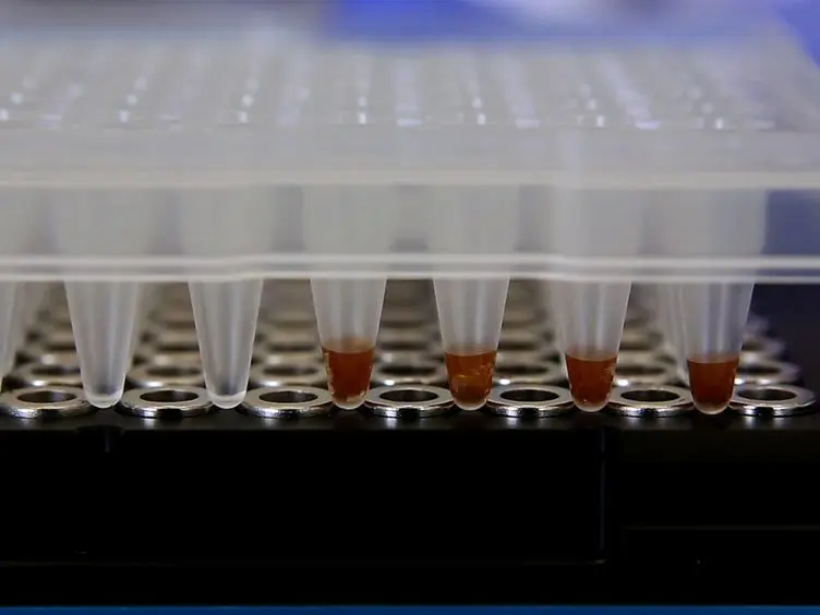 gDNA Enrichment by a Transposase-based Technology for NGS Analysis of the Whole Sequence of <em>BRCA1</em>, <em>BRCA2</em>, and 9 Genes Involved in DNA Damage Repair
