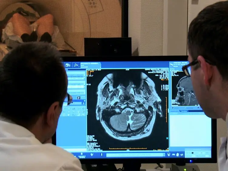 DTI of the Visual Pathway - White Matter Tracts and Cerebral Lesions