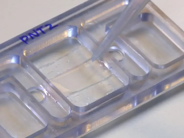 Utilizing Custom-designed Galvanotaxis Chambers to Study Directional Migration of Prostate Cells