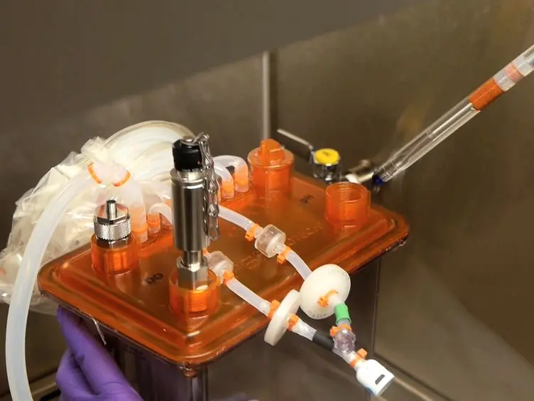Cultivation of Mammalian Cells Using a Single-use Pneumatic Bioreactor System